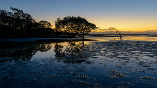 Beachmere Mangroves