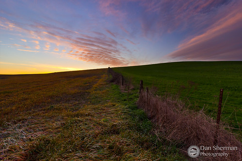 sunset sky green field grass clouds oregon rural fence landscape spring seasons unitedstates farm farmland valley pacificnorthwest fields independence pnw willamette willamettevalley oregonfarmland ruralscene rurallandscape independenceoregon buenavistaoregon midwillamettevalley