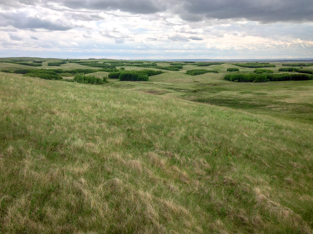 Antelope Hill PP