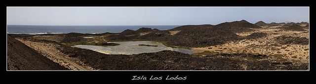 Isla Los Lobos