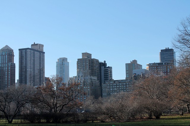 Central Park view 2