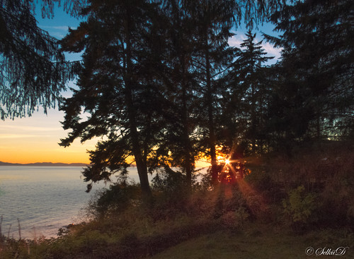 500px britishcolumbia canada canadianprovince dusk evening northamerica sx60 seascape shirley straitofjuandefuca sunset vancouverisland portrenfrew ca