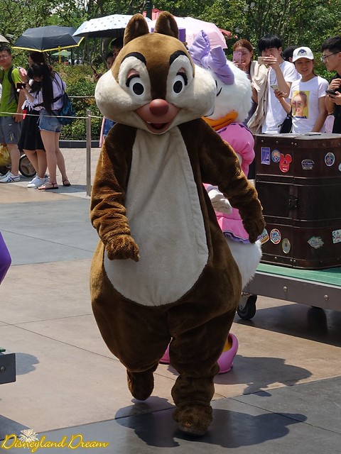 Tic et Tac - Chip and Dale