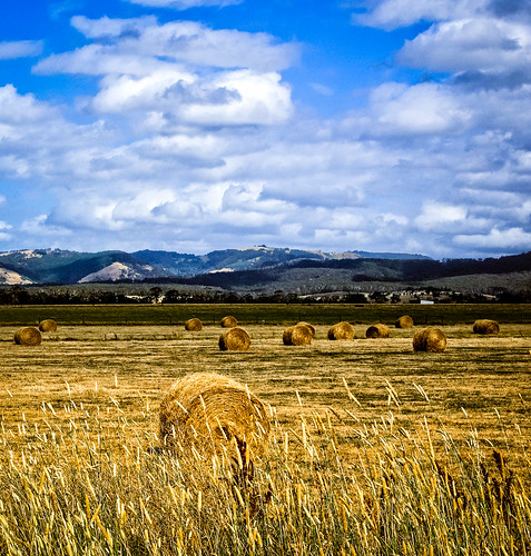 sky clouds farm australia places victoria hills hay gippsland paddocks