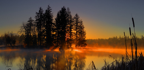 trees bw lake reflection water fog sunrise canon island sunrays tamron lawrencelake t4i 1riverat matthewreichel
