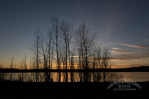 sunset sky colour tree water silhouette woodland evening washington unitedstates sundown columbiariver raja 2015