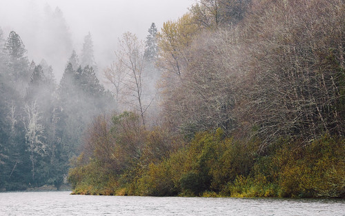 nature fog trees river pacificnorthwest canoneos5dmarkiii canonef100400mmf4556lisusm outdoors skagitriver foggy water washington wallpaper background