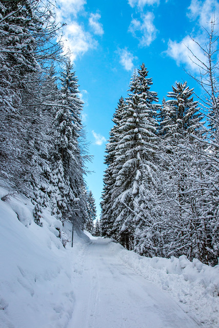 Winterliche Rodelbahn von der Kala Alm nach Schneeberg
