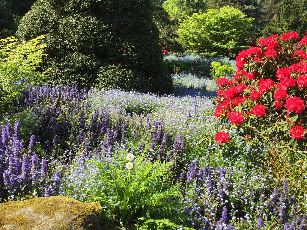 Kubota Garden Photos By Lisa Chen Seattle Parks Flickr