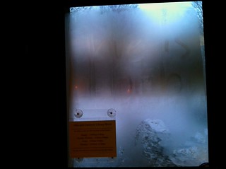 "Love is dumb" - winter in Ohio, written in the frost on the inside of the Olin Library door.