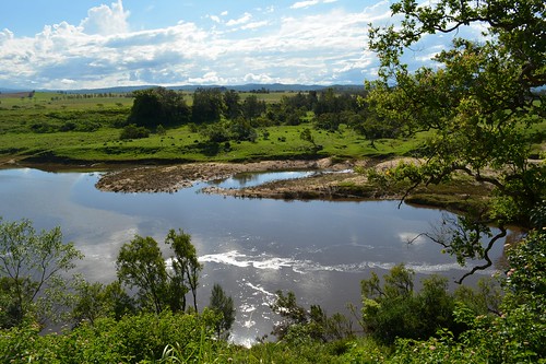 summer water reflections river australia nsw australianlandscape clarenceriver northernrivers tabulam jacksonsflat