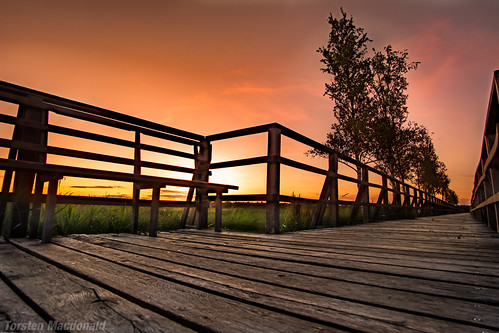 sunset Federsee in south west germany by torsten.macdonald, photographed with Sony a6000 and Samyang 12 f2.0sonya6000 samyang12f2 sunset federsee