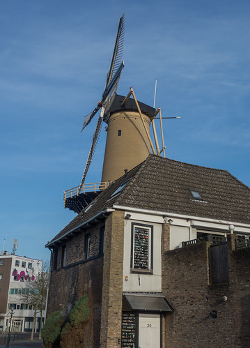 Egg cups and windmill | by Jorden Esser