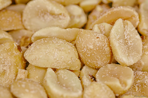 350/365 - Salty Goodness | by Keeperofthezoo