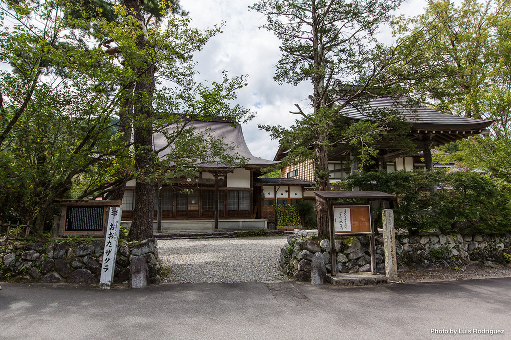 Templo Hongaku-ji con el cerezo a la izquierda