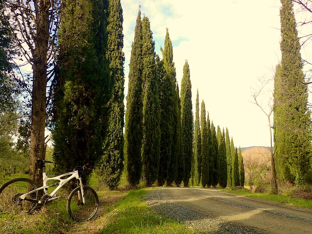 Cycling Tuscany / Castagneto Carducci