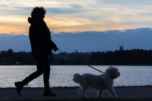 sunset woman dog silhouette canon 50mm twilight walk f18 18 fifty nifty fav10 60d