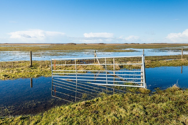 Crooked steel gate in a flooded nature reserve