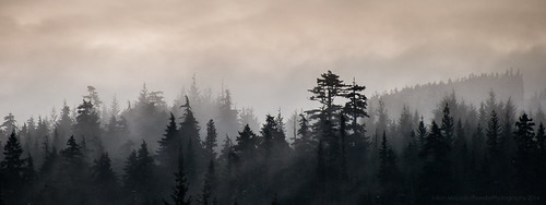 trees winter panorama mist mountain snow canada clouds whistler nikon december bc britishcolumbia spruce 18200 firs 2014 d90
