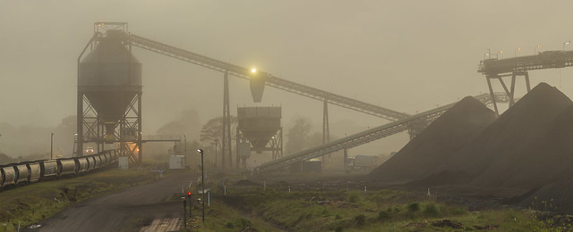 Rotowaro coal