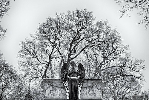 winter bw white snow black cemetery statue wisconsin bronze landscape nikon milwaukee danielchesterfrench foresthomecemetery markadsit