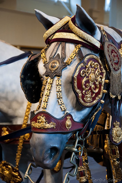Carriage Horse - The Royal Mews