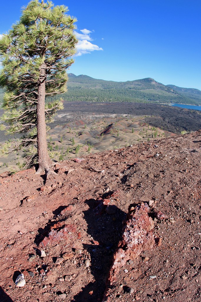 Cinder Cone Trail