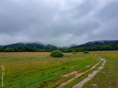 Mountain trail from Wołosate to the Tarnica peak (hidden in the clouds)