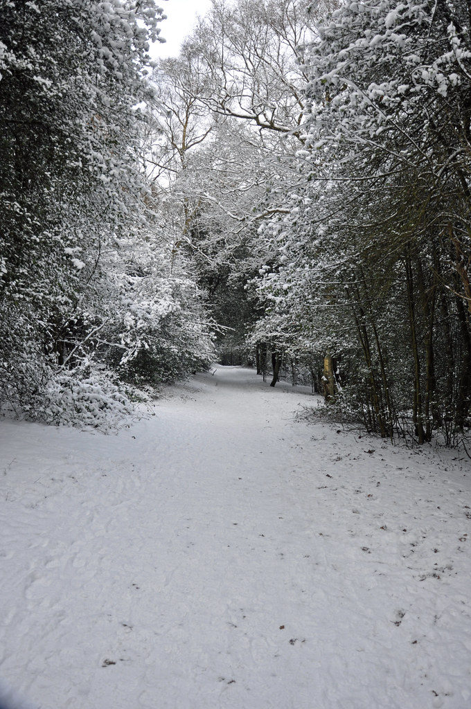 32692 | Sutton Park the largest Urban Park in the United Kin… | Flickr