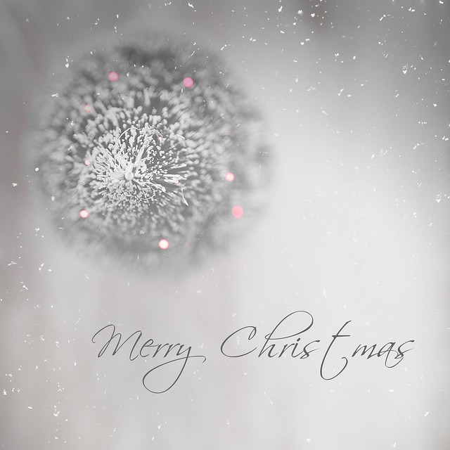 Merry Christmas, Happy Holdays and all the Best in 2015!