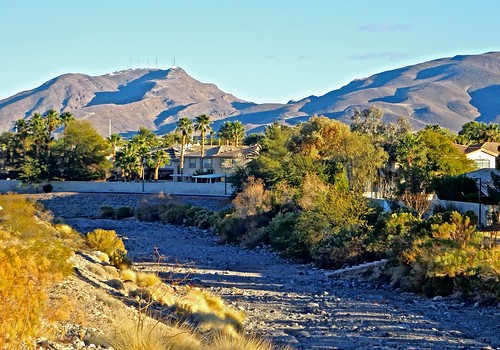 mountains nature wildlife hills wildflowers wilderness lasvegasnv beautifulnature amazingnature thewash awesomenature lovelynature allnature pittmanwashhendersonnv theblackhillslvnv