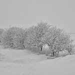 Winterwunder auf Föhr