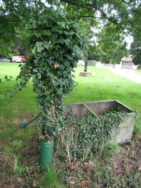 Village pump and trough (possibly not much in use)