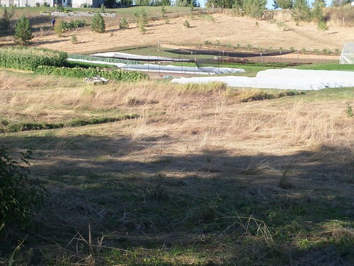 Affinity Farm | by Gary Dean Austin