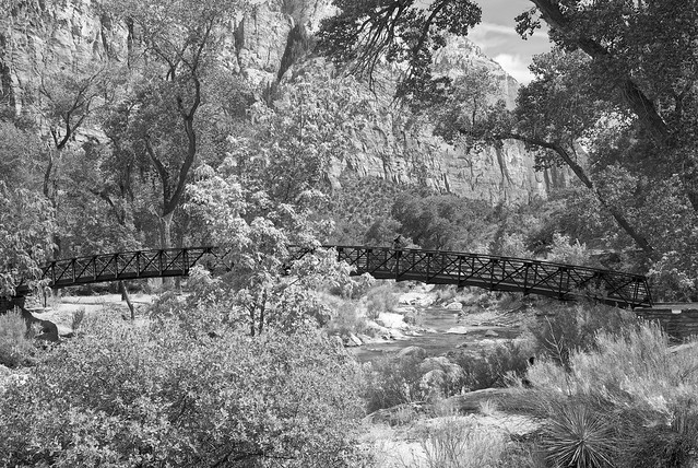 Bridge Over Virgin River Near Zion Lodge