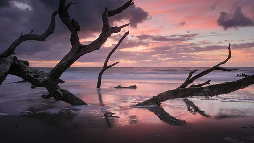 boneyardbeach boneyardjourneys canon georgia jekyllisland summer summersolstice clouds coast color dawn driftwood landscape light mood morning nature reflection sand seascape shore storm sunrise tree water waves