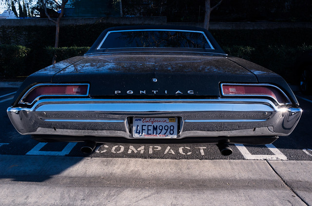 Compact | Los Angeles, CA | 2015