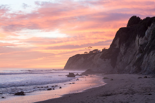 coast- california