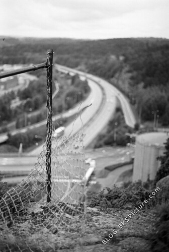 Yashica Auto Yashinon-DX 50mm f/1.7 | by sample-image.com
