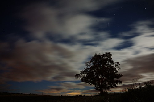 tree silhouette nightsky moonlitclouds start racing movement milnathort scotland autumn 2016