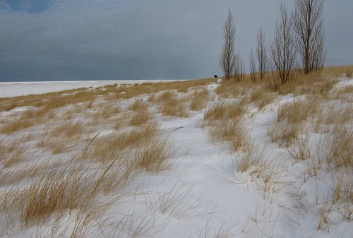 winter snow cold beach canon geotagged michigan lakemichigan sanddunes tiscorniapark canonpowershotsx10is