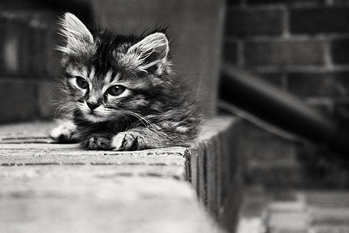 2016-08-06_04-01-59 | by hamanda121