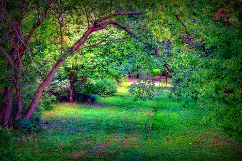 2011 canon eos dslr 500d t1i app rebel iphoneedit snapseed hdr handyphoto geotagged geotag facebook lynchburg landscape august summer rural ohio jamiesmed midwest photography highlandcounty country