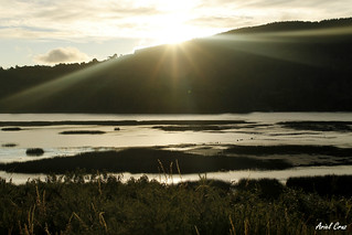 Flickr photo: Valdivia - Río Cruces - Isla Teja