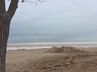 Indiana Dunes, March 8, 2015