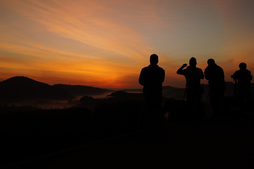 sunrise by pyan ishak,                                sunrise photographer tea group malaysia cameronhighlands pahang plant