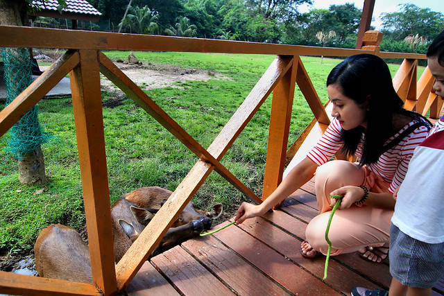 Zoo Johor