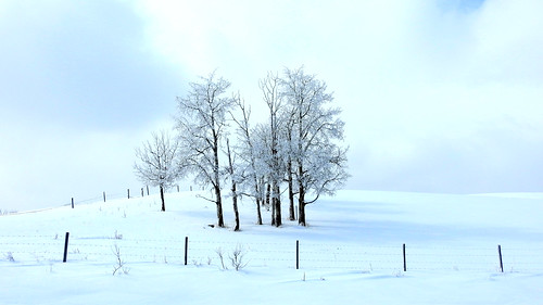 landscape scenery snow southernalberta