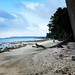 Neil Island Andaman