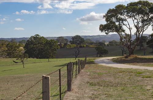 australia southaustralia photography edenvalleylookout landscape leadinglines barossavalley canon1200d